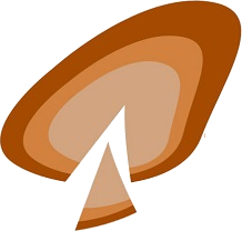 Artisana